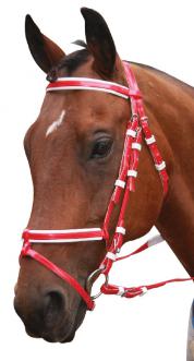 PVC Bridle - Red - Wanneroo Stockfeeders
