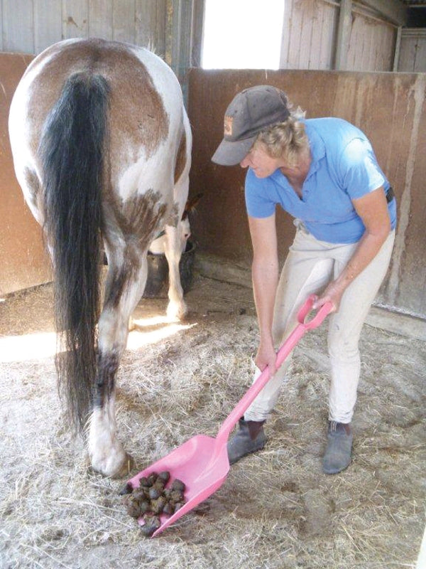 Plastic Shovel - Wanneroo Stockfeeders