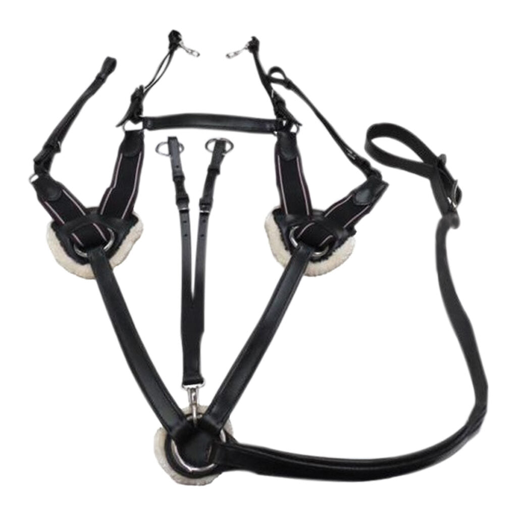 Eventing Breastplate 5 Point - Wanneroo Stockfeeders