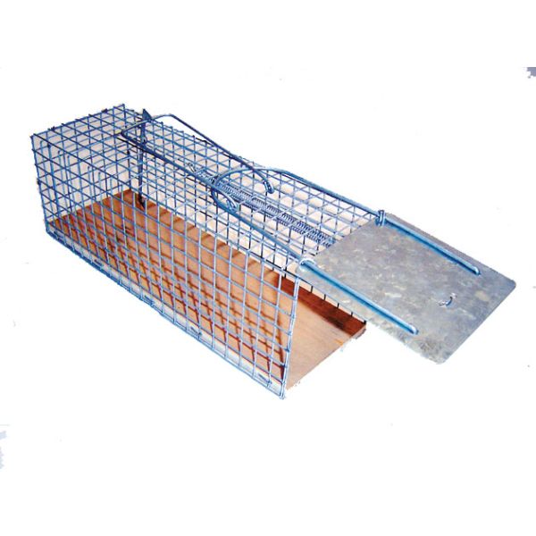 Cage Rat Trap - 27cm  Wanneroo Stock Feeders