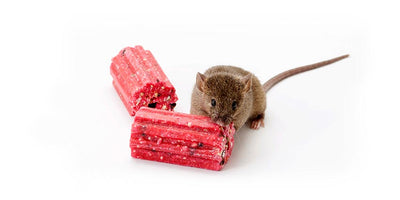 Tomcat All Weather Blox - Wanneroo Stock Feeders