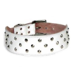 Studded Collar - White - Wanneroo Stockfeeders