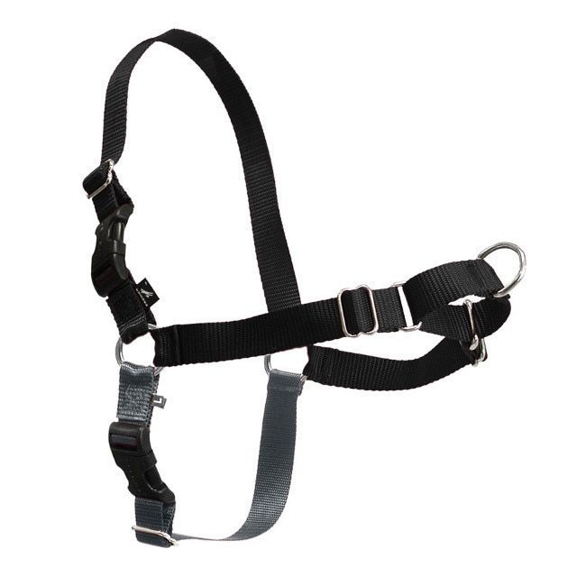 EasyWalk Harness - Wanneroo Stockfeeders