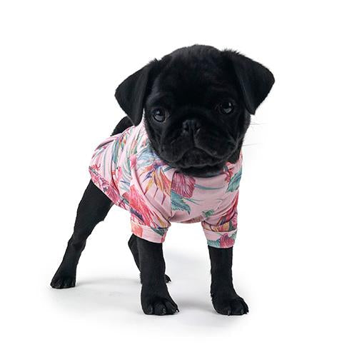 Dog Shirt Miami - Wanneroo Stock Feeders