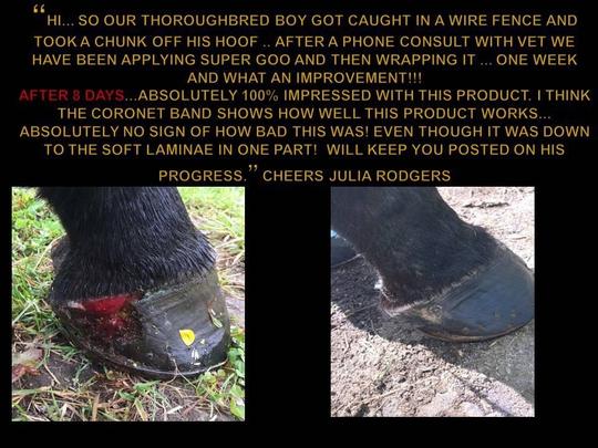 Equine Super Goo - Wanneroo Stockfeeders
