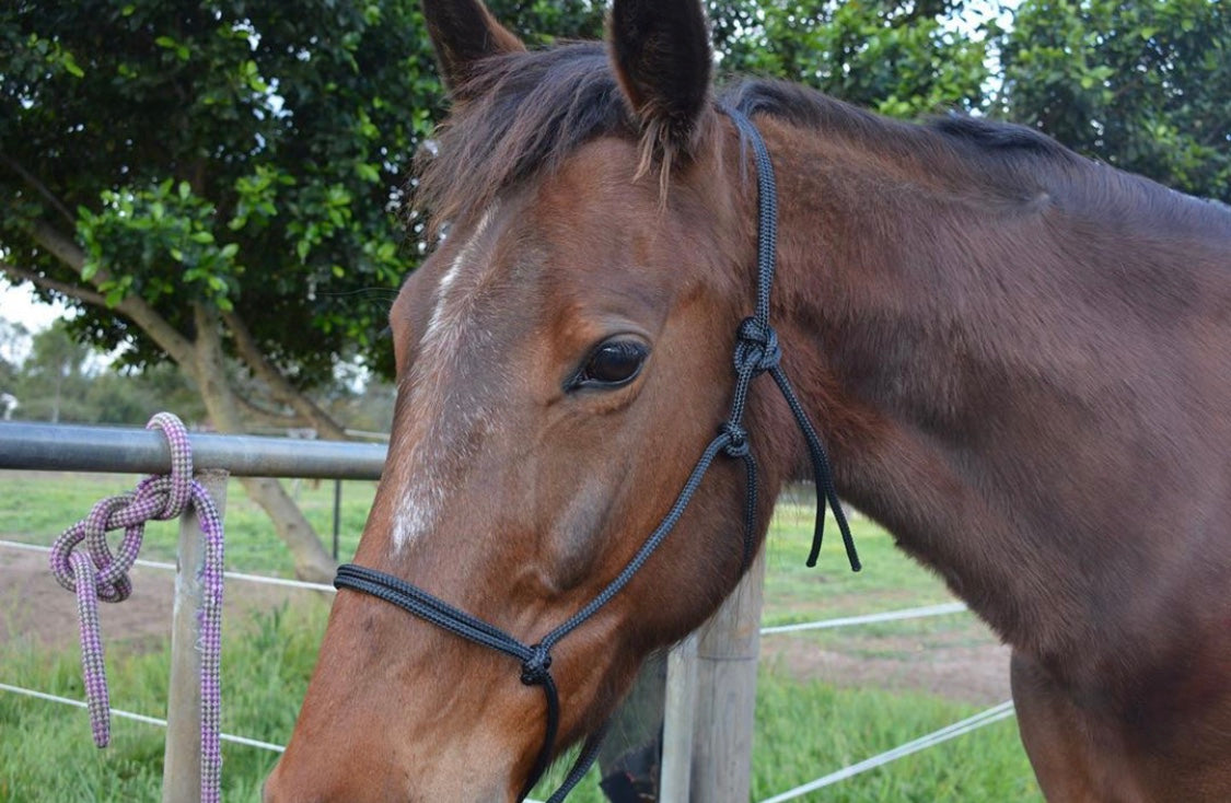 TES Rope Halter - Wanneroo Stockfeeders