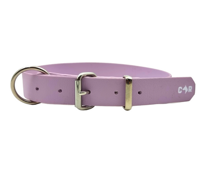 Dog Collar Muster - Wanneroo Stock Feeders