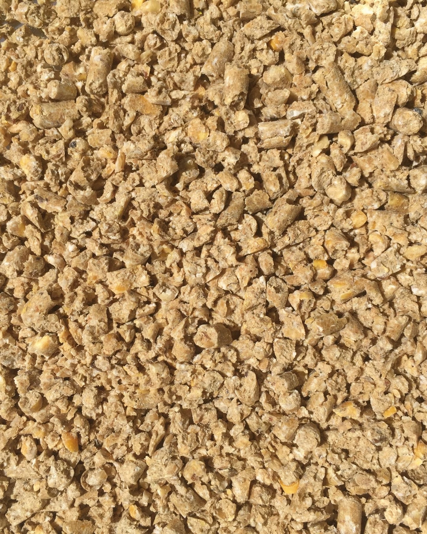 Layer Crumble - Wanneroo Stockfeeders