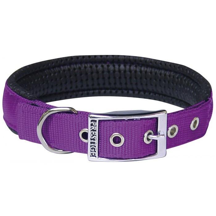 Padded Dog Collar - Purple - Wanneroo Stockfeeders