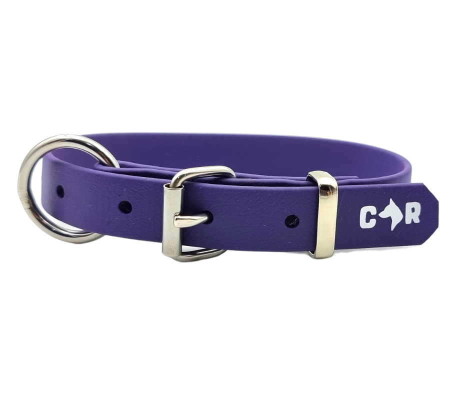 Dog Collar Muster - Wanneroo Stock Feeders