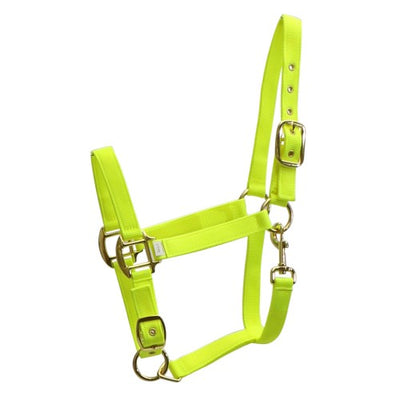 Fluro Halter - Wanneroo Stockfeeders