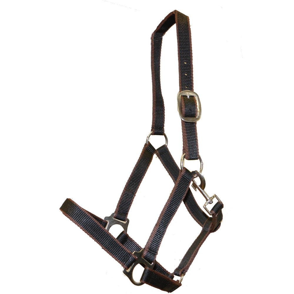 Rancher Halter - Multi-Colour - Wanneroo Stockfeeders