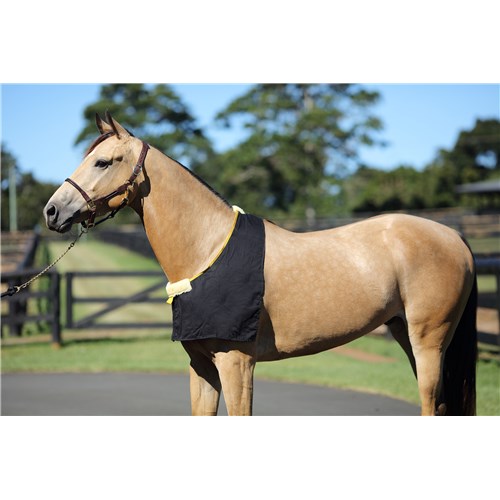 Satin Rug Bib - Wanneroo Stock Feeders