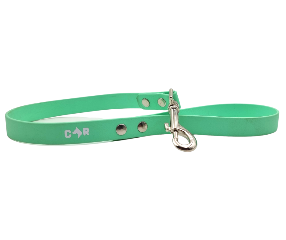 Dog Lead - Wanneroo Stock Feeders