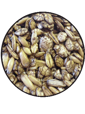 Cattle Muesli - Wanneroo Stockfeeders