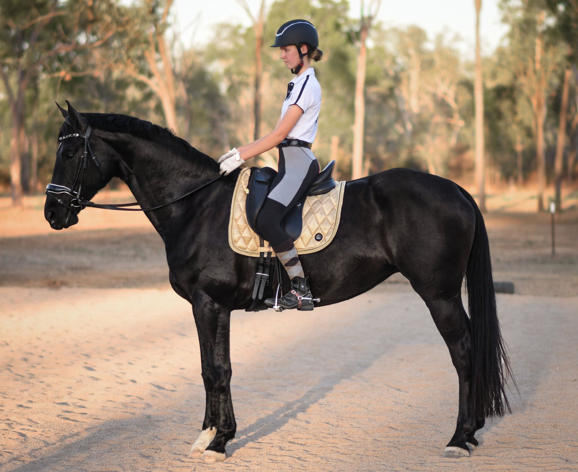 Dressage Saddle Pad - Wanneroo Stockfeeders