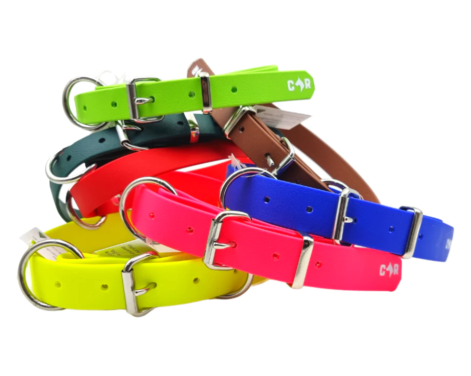 Dog Collar Muster Wanneroo Stock Feeders