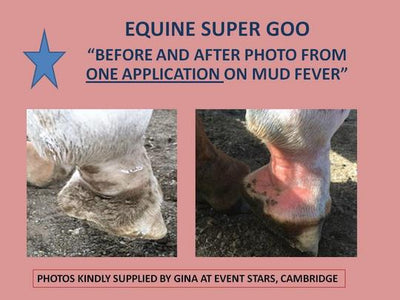 Equine Super Goo - Wanneroo Stockfeeders