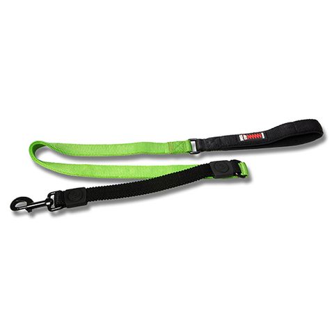 Bungee Dog Leash - Wanneroo Stockfeeders