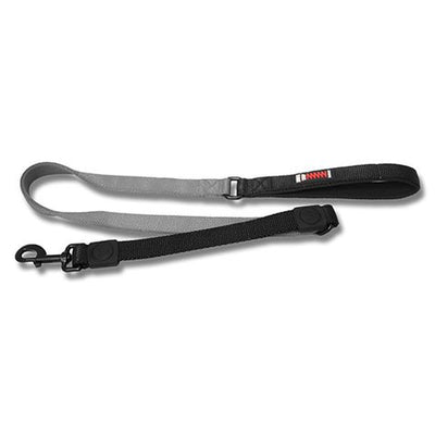 Bungee Dog Leash - Wanneroo Stockfeeders