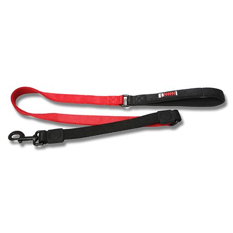 Bungee Dog Leash - Wanneroo Stockfeeders