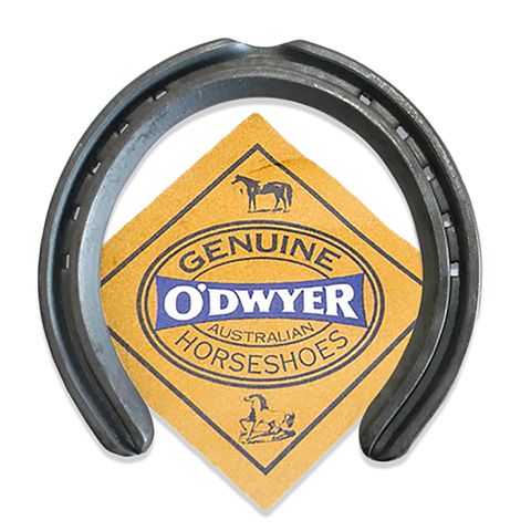 Standard Hack Horseshoes - Wanneroo Stockfeeders