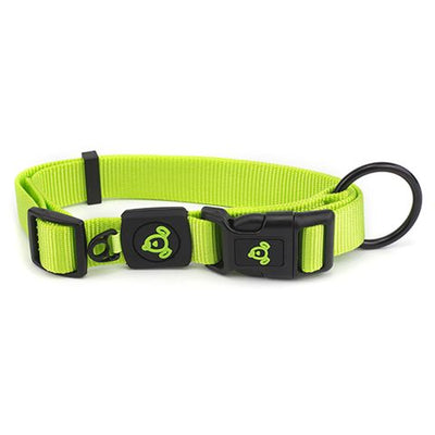 Bainbridge Nylon Dog Collar - Wanneroo Stockfeeders