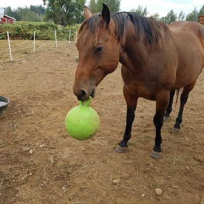 Bubblegum Jolly Ball - Wanneroo Stockfeeders