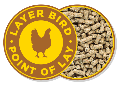 Golden Yolk Pellets - Wanneroo Stockfeeders