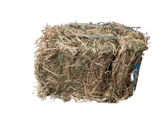 Oaten Half Bale - Wanneroo Stockfeeders