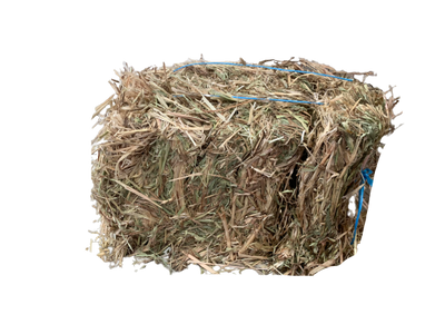 Oaten Half Bale - Wanneroo Stockfeeders