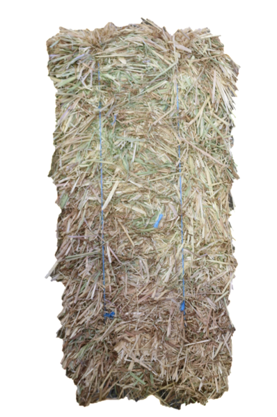Oaten Hay Bale - Wanneroo Stockfeeders