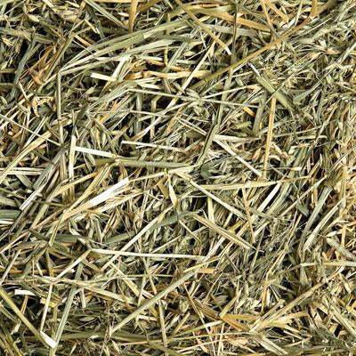 Loose Oaten Hay Bag - Wanneroo Stockfeeders