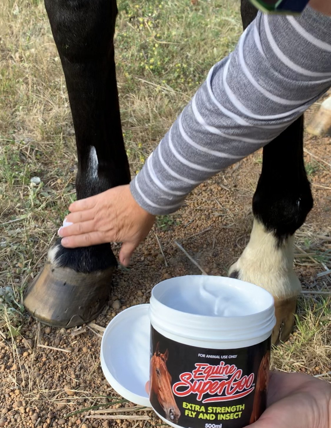 Equine Super Goo Insect Repellent - Wanneroo Stockfeeders