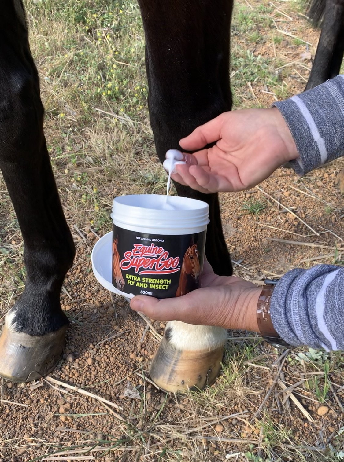 Equine Super Goo Insect Repellent - Wanneroo Stockfeeders