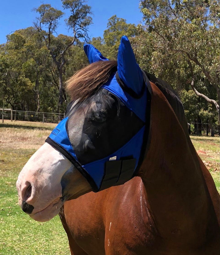 Ultra Lightweight Fly Mask - Wanneroo Stock Feeders