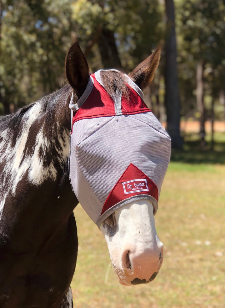 Fly Buster Fly Mask - Wanneroo Stock Feeders