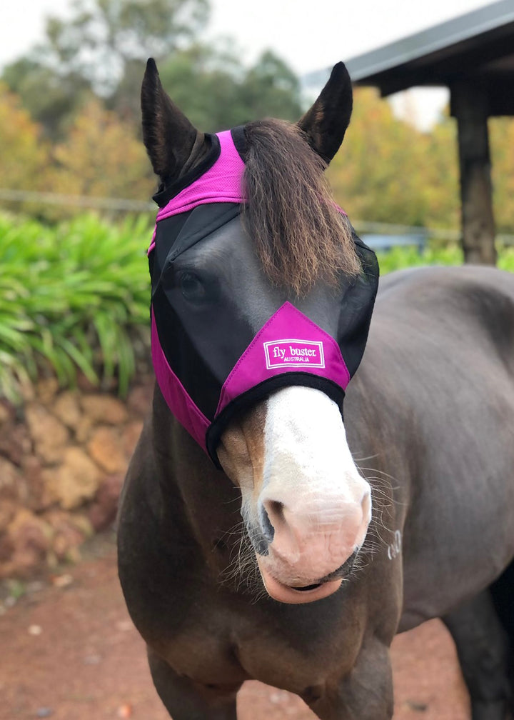 Ultra Lightweight Nose Fly Mask - Wanneroo Stock Feeders