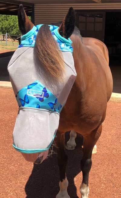 Fly Buster Fly Mask - Wanneroo Stock Feeders