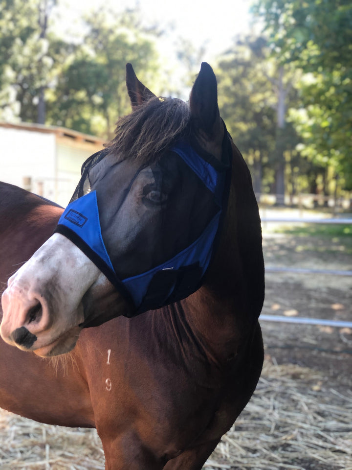 Ultra Lightweight Fly Mask - Wanneroo Stock Feeders