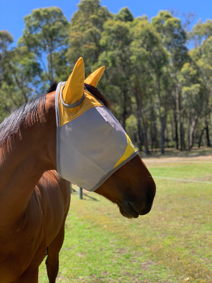 Fly Buster Fly Mask - Wanneroo Stock Feeders