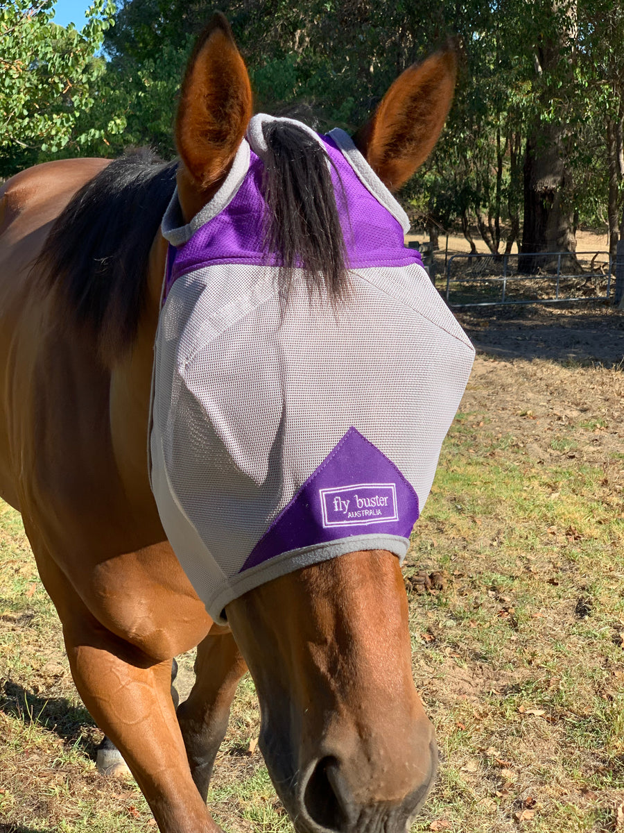 Fly Buster Fly Mask - Wanneroo Stock Feeders