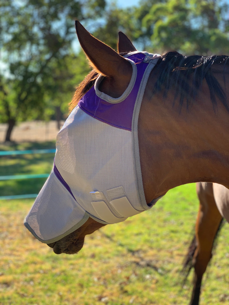 Fly Buster Fly Mask - Wanneroo Stock Feeders