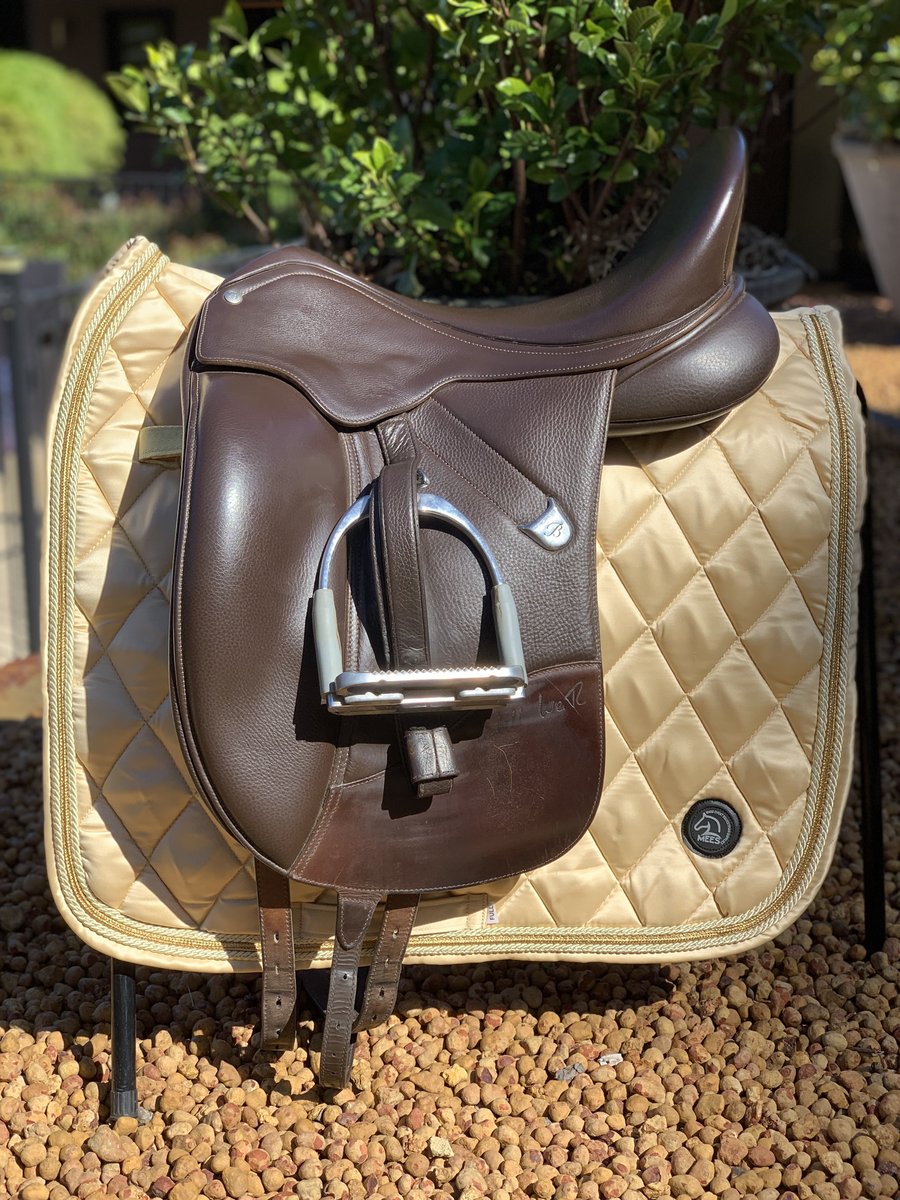 Dressage Saddle Pad - Wanneroo Stockfeeders