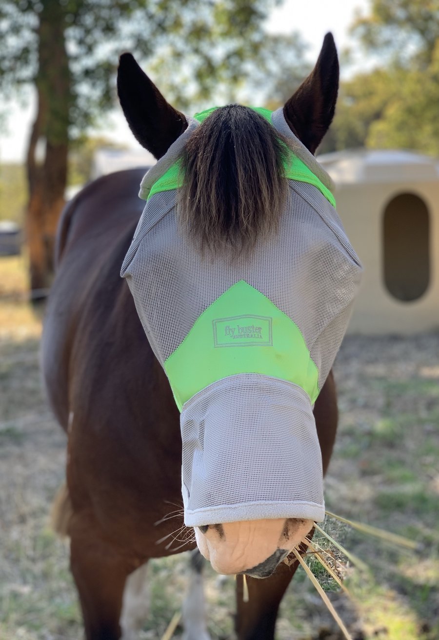 Fly Buster Fly Mask - Wanneroo Stock Feeders