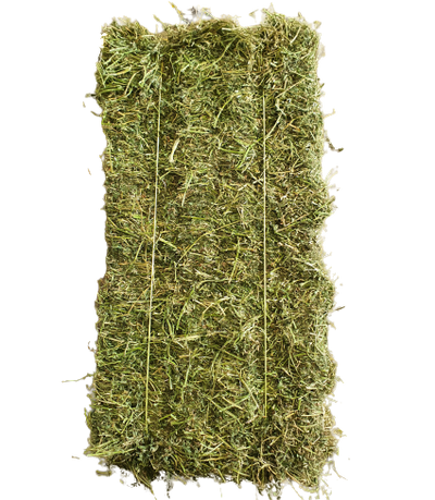 Lucerne Hay Gingin - Wanneroo Stockfeeders