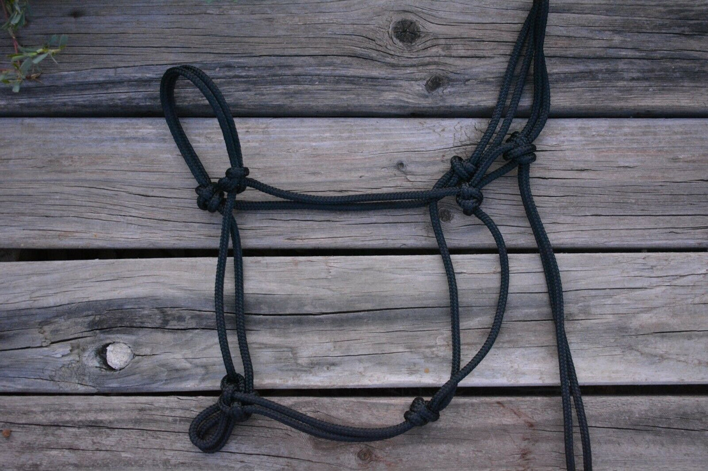 TES Rope Halter - Wanneroo Stockfeeders