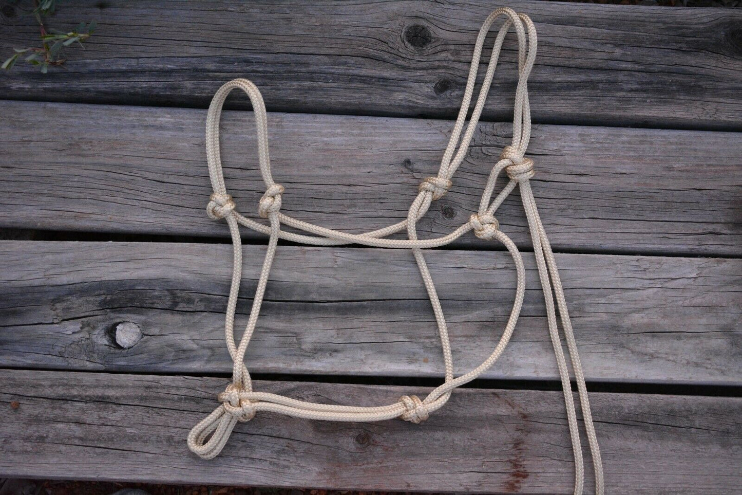 TES Rope Halter - Wanneroo Stockfeeders