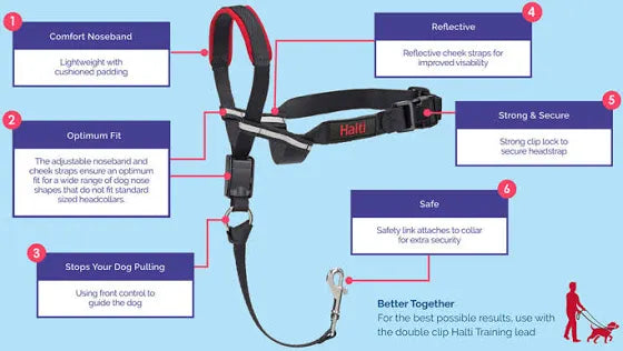 COA Halti OptiFit - Wanneroo Stock Feeders