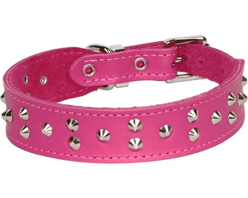 Studded Collar - Hot Pink - Wanneroo Stockfeeders